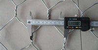 80*100 Hot dipped galvanized Hexagonal Gabion /Gabions Box for Retaining Wall