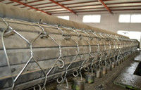 Hot sale 2x1x1 m Hexagonal PVC Coated Gabion mesh/gabion /Gabions Box
