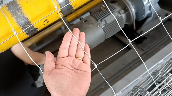 China Supplier Animal Hinge Joint Grassland Field Fence Netting Machine Factory