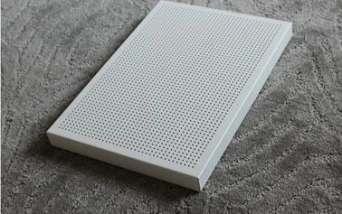 stainless steel Decoration Perforated Metal Mesh/Sheet Ceiling/Filtration/Sieve/Wall Cladding/Sound Insulation