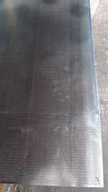 stainless steel Decoration Perforated Metal Mesh/Sheet Ceiling/Filtration/Sieve/Wall Cladding/Sound Insulation